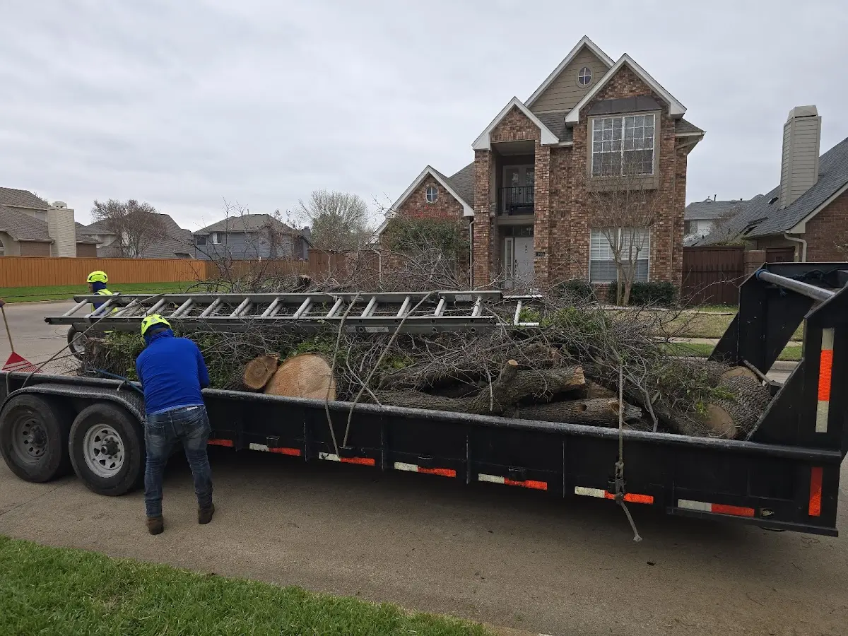 Expert Lot Clearing with proper safety equipment in Wayne